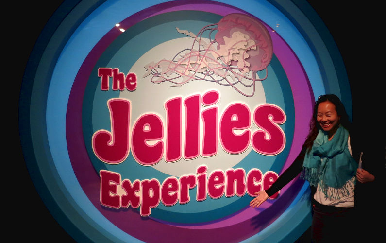 jellies experience exhibit
